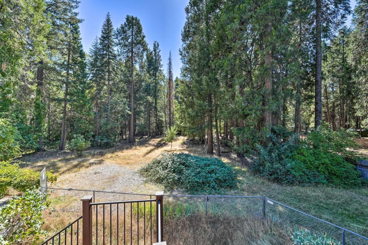 Nevada City Retreat Near Hiking And Yuba River! Екстериор снимка